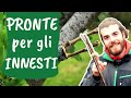 Scegliere le MARZE per gli INNESTI