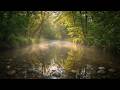 Gentle River Sounds & Ambient Music for Sleep, Calmness & Inner Peace 🌙🌊💤