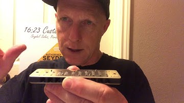 Adjusting a Stuck Draw Reed on Seydel Diatonic