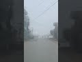 बढ्दो चिसो । #cool #weather