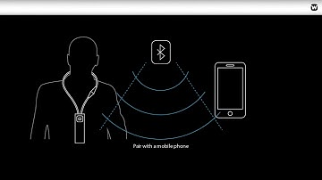 COM DEX tutorial Getting Started