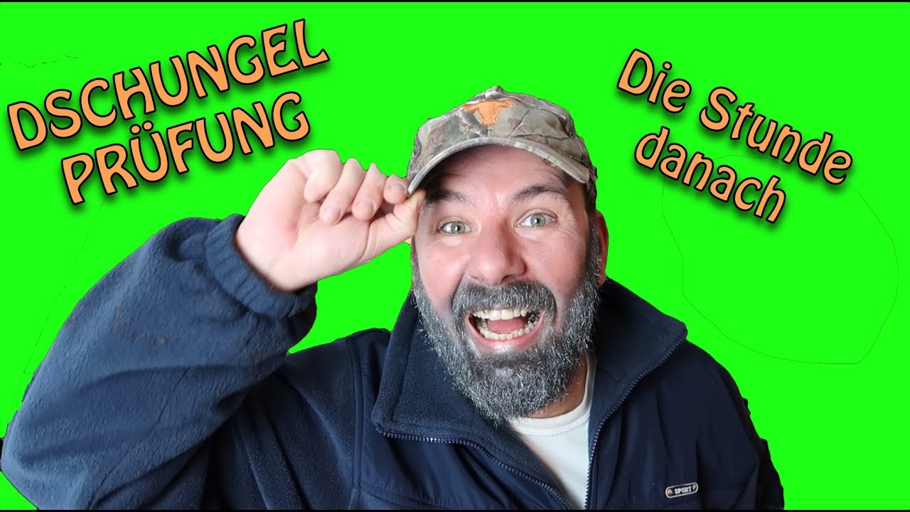 Tommy Dschungelcamp Tommy Dschungelcamp