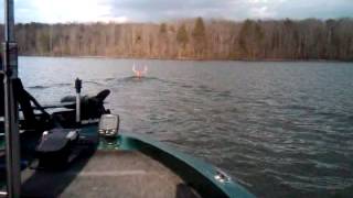 VID-20120107-00011