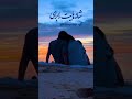 شانه هایت را برای گریه کردن دوست دارم شانه هایت هایده 