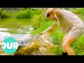 Can steve irwin capture the australian saltwater crocodile  our world