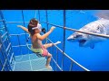 Funniest Moments Baby Meet Animals December- Funny Animals Reaction | baby shark doo doo