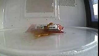 Microwavecam.com - Soy Sauce
