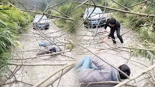A kind-hearted driver cleared the road and rescued a man who had been crushed by dense tree branches Net Worth