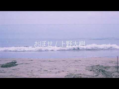 おぼせ / 上野大樹(cover by 箱×雨宮ゆり)