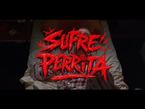 YXUNGDY970 - SUFRE PERRITA