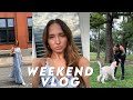 LONG WEEKEND VLOG: morning routine, magnolia farms & makeup routine