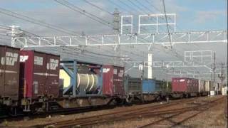 JR貨物 EF210-103 貨物列車(遅れ1064レ 桃太郎 コキ105-1有) 稲沢－清洲