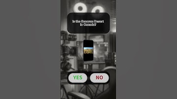 Yes or No Quiz – Geography (Part 27) | 5 Questions #quiz