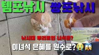템포낚시/쌍포낚시/아쿠아3합/외통채비