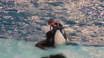 SeaWorld Music Video FCP UCLA Extension Class