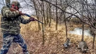 Crazy Close Raccoon Calling: GOAT VID!!! - Kansas Raccoon Hunting by Geoff Nemnich Coyote Hunting Vids 38,666 views 7 months ago 11 minutes, 27 seconds