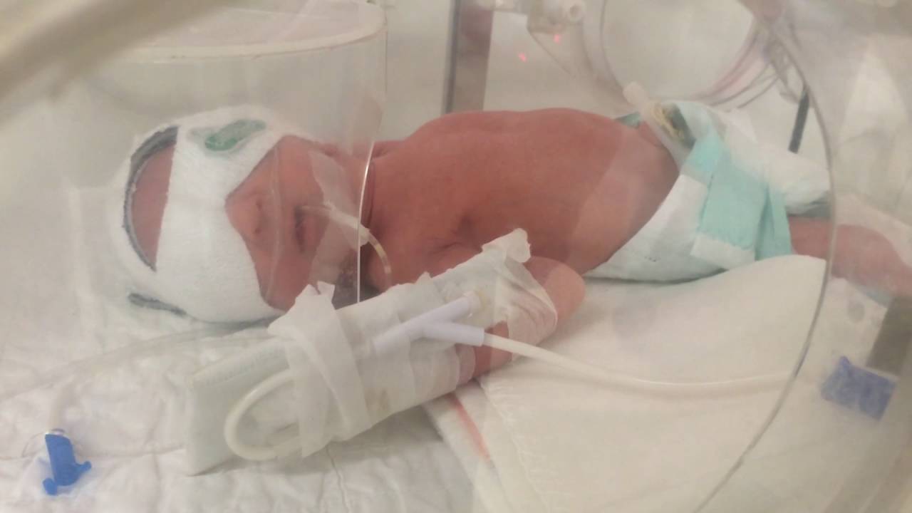 33 Semanas De Gestação Quantos Quilos Pesa O Bebe