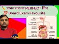 #HumanDigestiveSystem | पाचन तंत्र Diagram | Class 10 #science #boardexamspecial #mostimportantclass