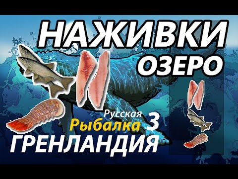 рыбалка 3 озеро елец