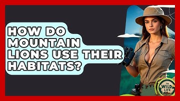 How Do Mountain Lions Use Their Habitats? - The Wild Life Explorer