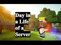 Day in a Life of a Server #1