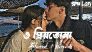 O PRIYOTOMA _ ও প্রিয়তোমা _ Slowed  Reverb _ Balam _ Konal _