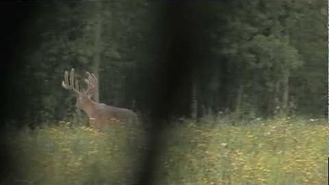 Season 1 Hunt 1 - Scott Swanson hunts Alberta, Can...