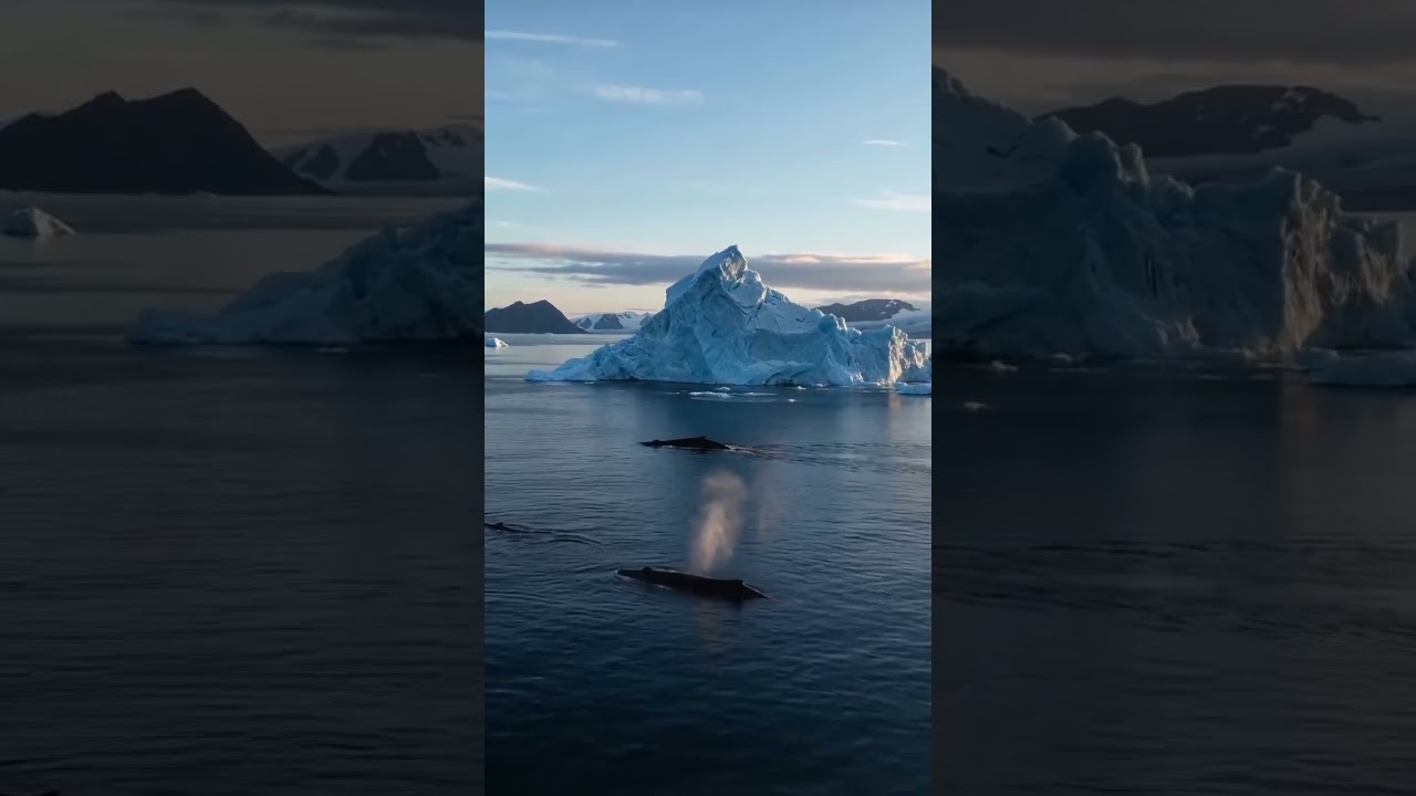 Antarctica Rising | 4K Drone Cinematic #Antarctica  #YogaMusic #Meditation #NatureDocumentary