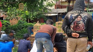 Download Lagu 🔴GACORAN DI JUAL DIBULAN TUA YANG PENTING JADI DUIT‼️ MP3 Download Lagu 🔴GACORAN DI JUAL DIBULAN TUA YANG PENTING JADI DUIT‼️ MP3