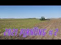 2021 corn and soybean planting 2