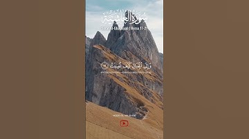 أَفَلا يَنْظُرُونَ إِلَى الإِبِلِ كَيْفَ خُلِقَتْ - سورة الغاشية