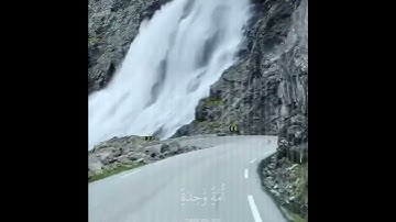 #آيات #قرآن #قران_كريم #ايات_القرآن_الكريم #راحة_نفسية