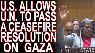 MoT #578 My Take ON The U.N. Ceasefire Resolution