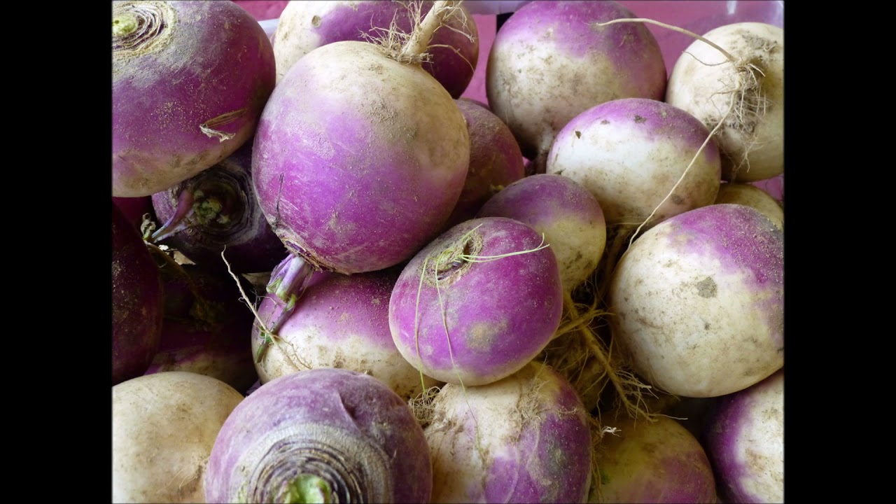 Turnips for Uplifting Power Boost, Vitamins K, A, C, E, B1, B3, B5, B6