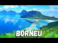 As 10 Grandes MARAVILHAS da NATUREZA Que Só Existem Em BORNÉU - Grandes Florestas Tropicais Ep. 2