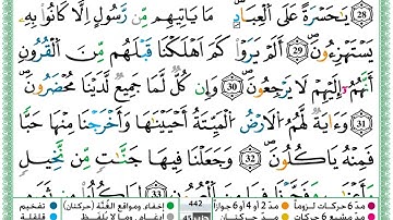 حمزة الجزائري (سورة يس مكتوبة) برواية ورش عن نافع