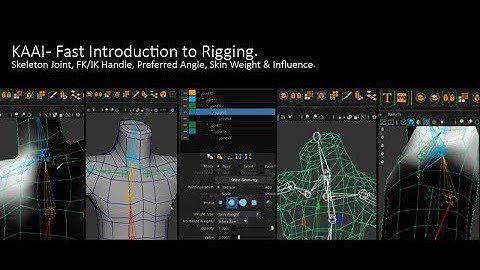 Autodesk Maya Video Tutorial - Fast Intro to Rigging 180220v01