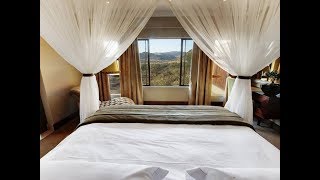 Shepherd's Tree Game Lodge - Pilanesberg Game Reserve