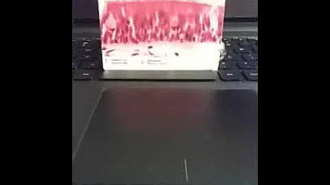 Histology  (tissue review )