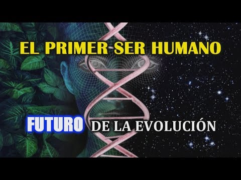 ¿Cómo nació el primer humano? Origen del ser humano