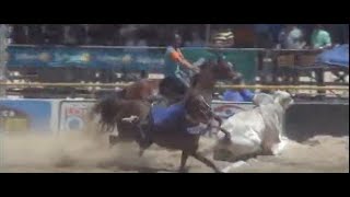 Kibebi Park Show 2020 - Derby Kibebi Park Show 2020 - Derby