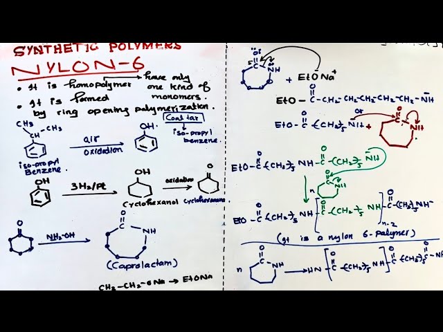 Nylon 6, Mechanism for formation of Nylon-6