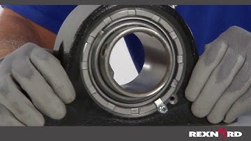 How to Select a Seal for Rex & Link-Belt Roller Bearings