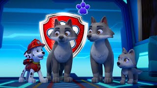 Paw Patrol - Its Time To Howl Wildbrain Zoo Cartoons For Kids