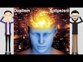 Dualism and Solipsism - Philosophy of Mind I