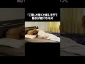 「ご飯」と聞くと嬉しすぎて動きが変になる犬 ♯shorts