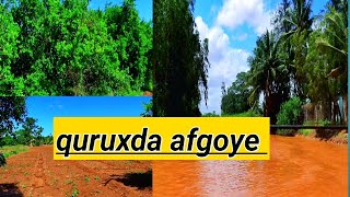 daawo quruxda dagmada afgoye