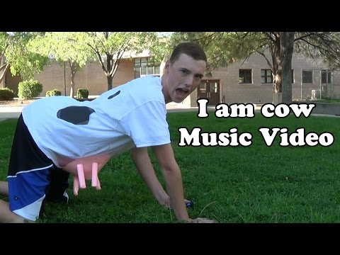 I Am Cow Music Video
