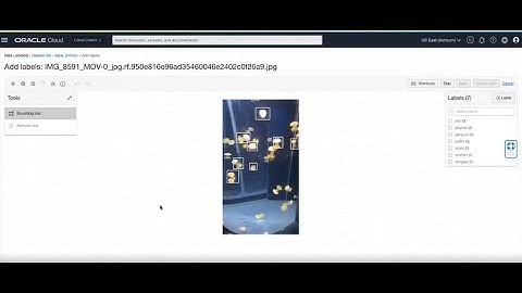 Introducing OCI Data Labeling