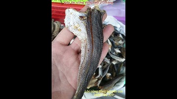Khô Cá Lóc Cửng Đồng - Lóc Cửng khô dẻo 2 3 nắng (Gởi đi xa được 5-7 ngày) - Giá bán lẻ 220k/1kg